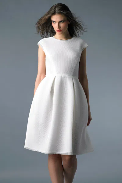 Basix Black Label Light Weight Scuba Cocktail Dress In White
