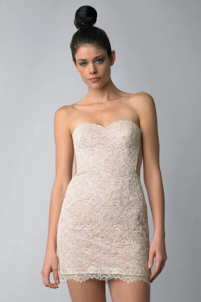 Basix Black Label Nude And Embroidered Cocktail Dress