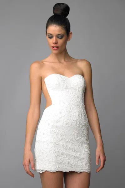 Basix Black Label Nude And Embroidered Cocktail Dress