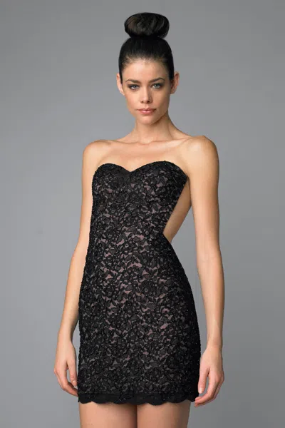 Basix Black Label Nude And Embroidered Cocktail Dress In Black