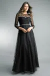 Basix Black Label Sheer And Tulle Gown
