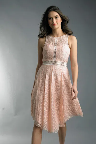 Basix Black Label Sleeveless Cocktail Dress In Pink