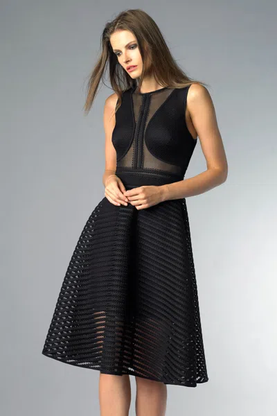 Basix Black Label Sleeveless Cocktail Dress With Sheer In Black