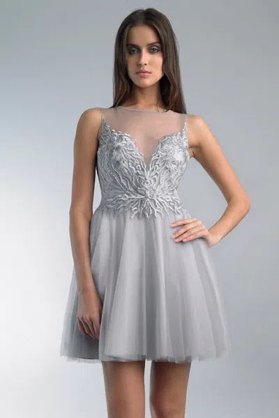 Basix Black Label Sleeveless Cocktail Dress With Tulle Skirt