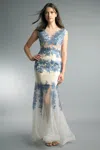 Basix Black Label Sleeveless Embroidered Evening Dress
