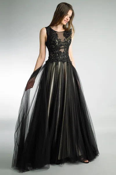 Basix Black Label Sleeveless Embroidered Evening Dress