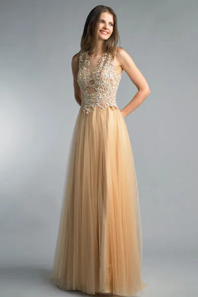 Basix Black Label Sleeveless Embroidered Evening Dress