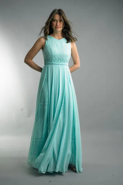 Basix Black Label Sleeveless Evening Dress In Blue