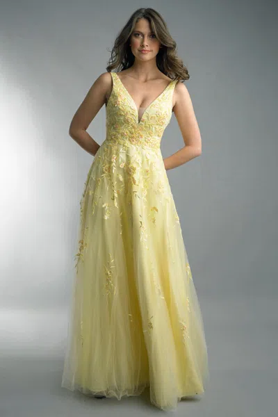 Basix Black Label Sleeveless Evening Gown