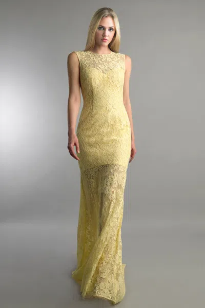 Basix Black Label Sleeveless Evening Gown In Yellow
