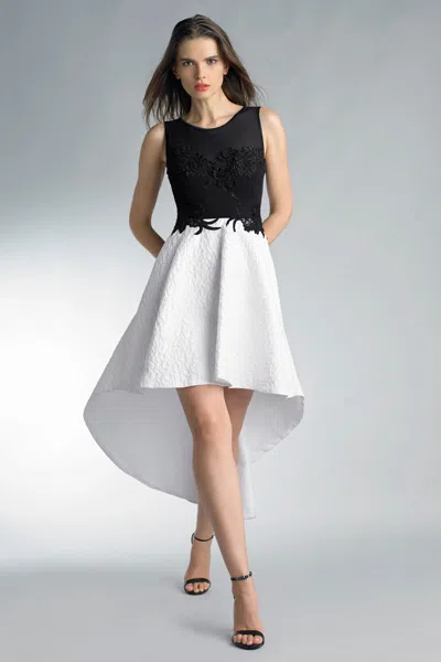 Basix Black Label Sleeveless Hi Low Dress With Floral Details On Bust In Multi