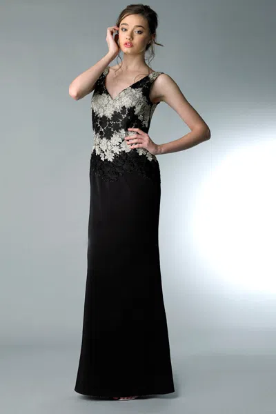 Basix Black Label Sleeveless Plunge Back V Neck Evening Dress