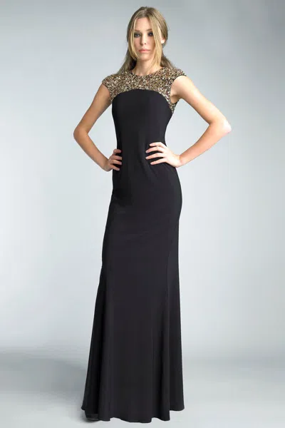 Basix Black Label Sleeveless Sequined Top Evening Dress