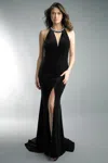Basix Black Label Sleeveless Velvet Gown