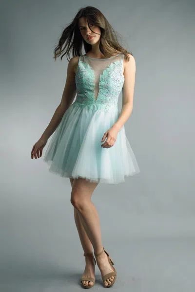 Basix Black Label Tulle Skirt Cocktail Dress In Blue