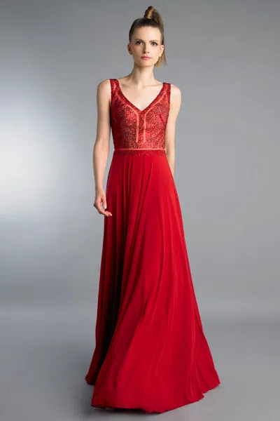 Basix Black Label V Front V Back Dress In Red