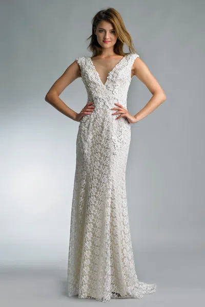 Basix Black Label V Neck Gown In White