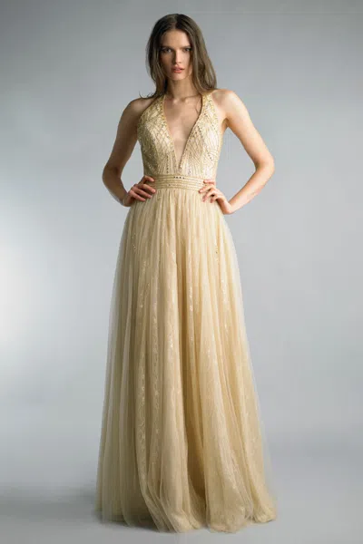 Basix Black Label V Neck Sleeveless Gown