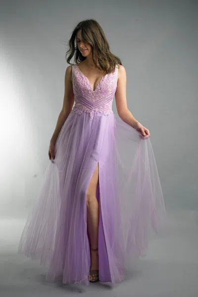 Basix Black Label V Neck Sleeveless Tulle Dress In Purple