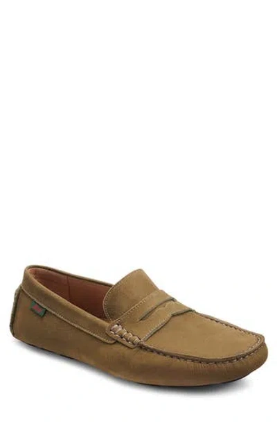 Bass Davis Penny Driver Loafer In Olive