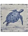 Bassett Mirror Sea Turtle Canvas Art In Blue