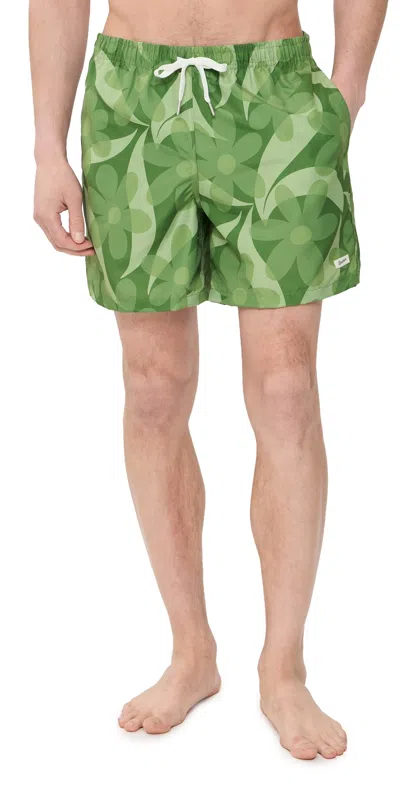 Bather Daisy Trip Classic Swim Trunks 5.5 Fern In Green