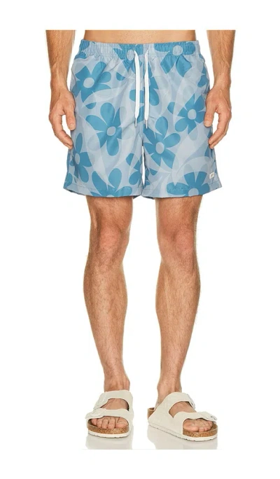 Bather Grotto Daisy Trip Swim Trunk In Blue