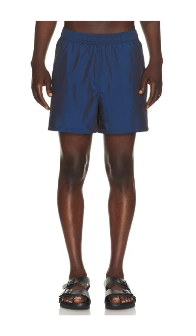 Bather Iridescent Sapphire Swim Trunks In Brown