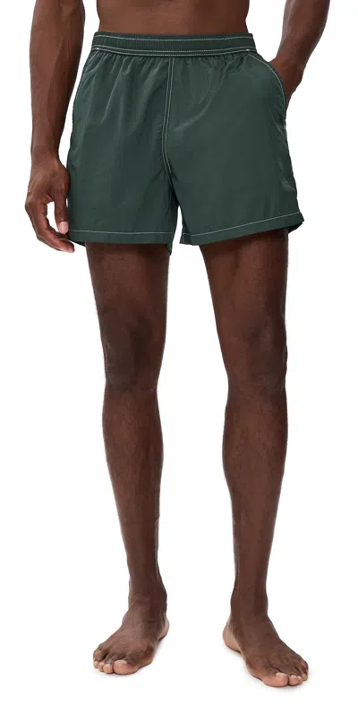 Bather Myrtle Contrast Modern Trunks Green In Gray