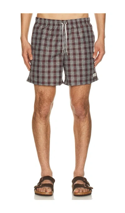 Bather Printed Classic Swim Trunk In Purple