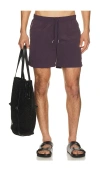 Bather Solid Classic Swim Trunk In Purple