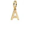 Baublebar Classic Initial Cluster Charm In Brown