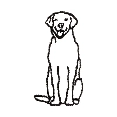 Baublebar Labrador Icon In Black