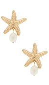Baublebar Mariam Shell Earrings In Gold