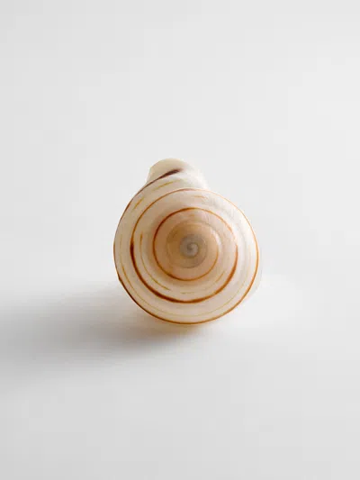 Baublebar Santana Shell Statement Ring In White