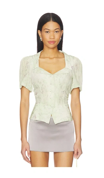 Baum Und Pferdgarten Macaia 탑 In Multi