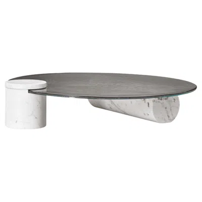 Pre-owned Baxter Award-winning Verre Particulier Coffee Table By Studiopepe For , Italy In Gray