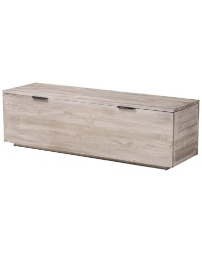 Baxton Studio Alvaro Wood Storage Trunk With Hinged Lid In Neutral
