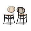 Baxton Studio Thalia Metal And Synthetic Rattan 2pc Outdoor Dining Chair Set