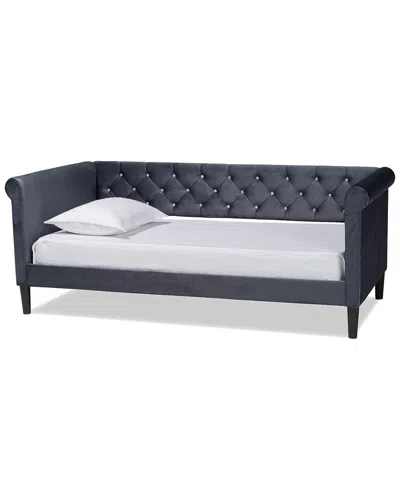 Baxton Studio Cora Modern Contemporary Velvet Daybed In Grey