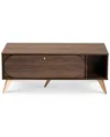 Baxton Studio Edel Coffee Table In Brown