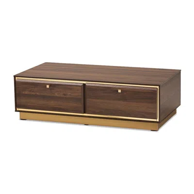 Baxton Studio Transitional Walnut Brown Finished Wood And Gold Metal 2-drawer Coffee Table In Animal Print