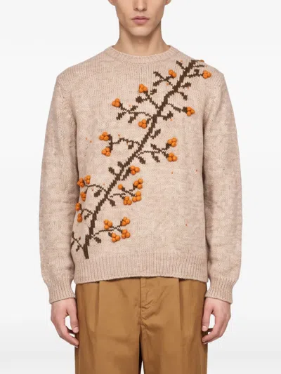 Baziszt Embroidered Intarsia-knit Sweater In Brown