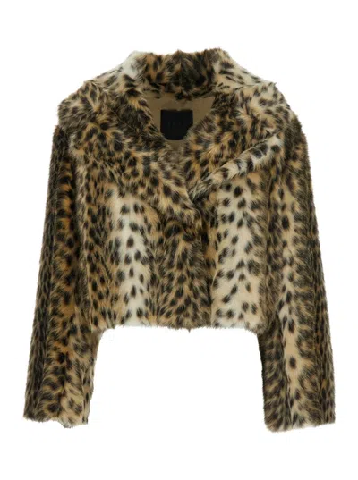 Bb Couture Jacket In Animal Print