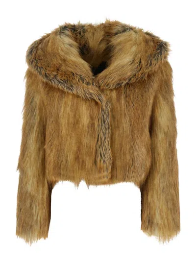 Bb Couture Jacket In Brown