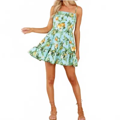 Bb Dakota Summer Orchard Dress In Sky Blue Floral In Green
