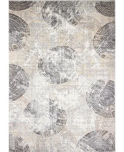 Bb Rugs Assets Ca102 Area Rug Collection In Gray