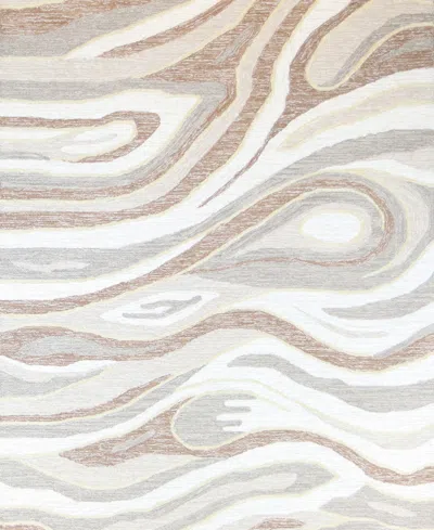 Bb Rugs Taron Al301 3'6" X 5'6" Area Rug In Beige