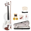 Bbtee Glarry Gv103 4/4 Spruce Panel Violin Matte White In Black