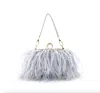 Bc Handbags Feather Evening Bag In Silver In Silver